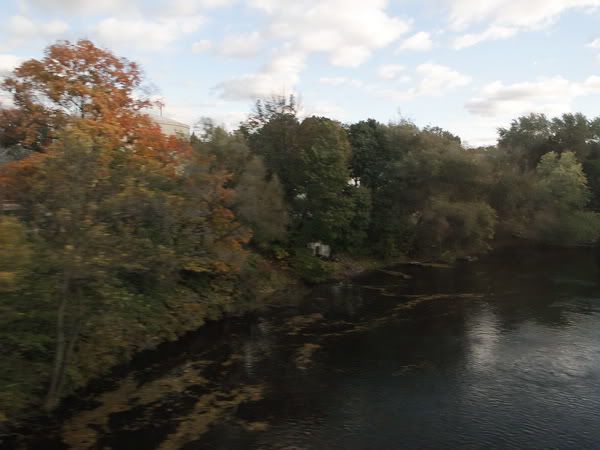 DSC01016.jpg