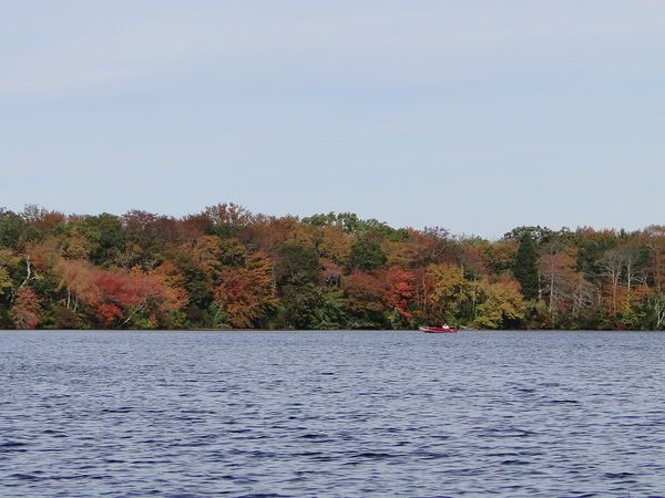 DSC00832.jpg