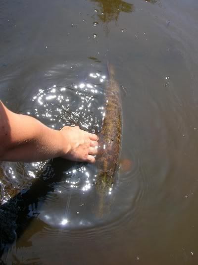 DSCN2952.jpg