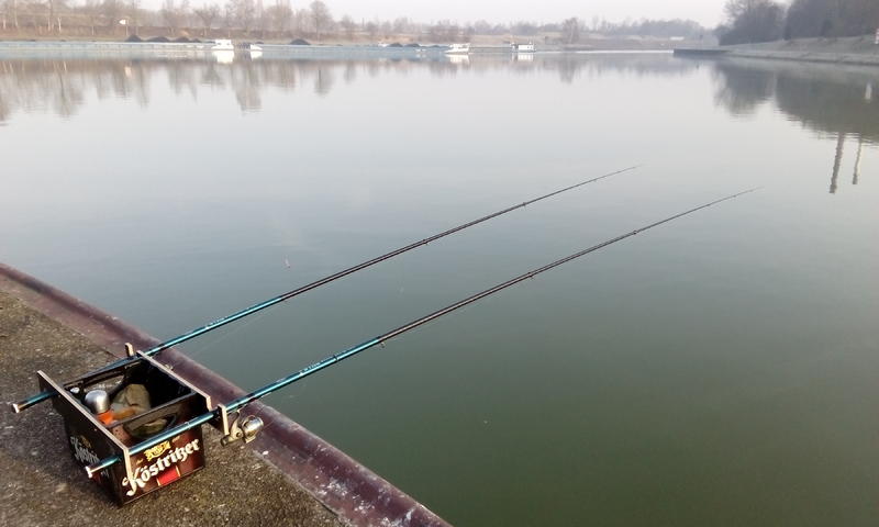 32211290sc.jpg