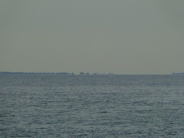 DSC00882.jpg