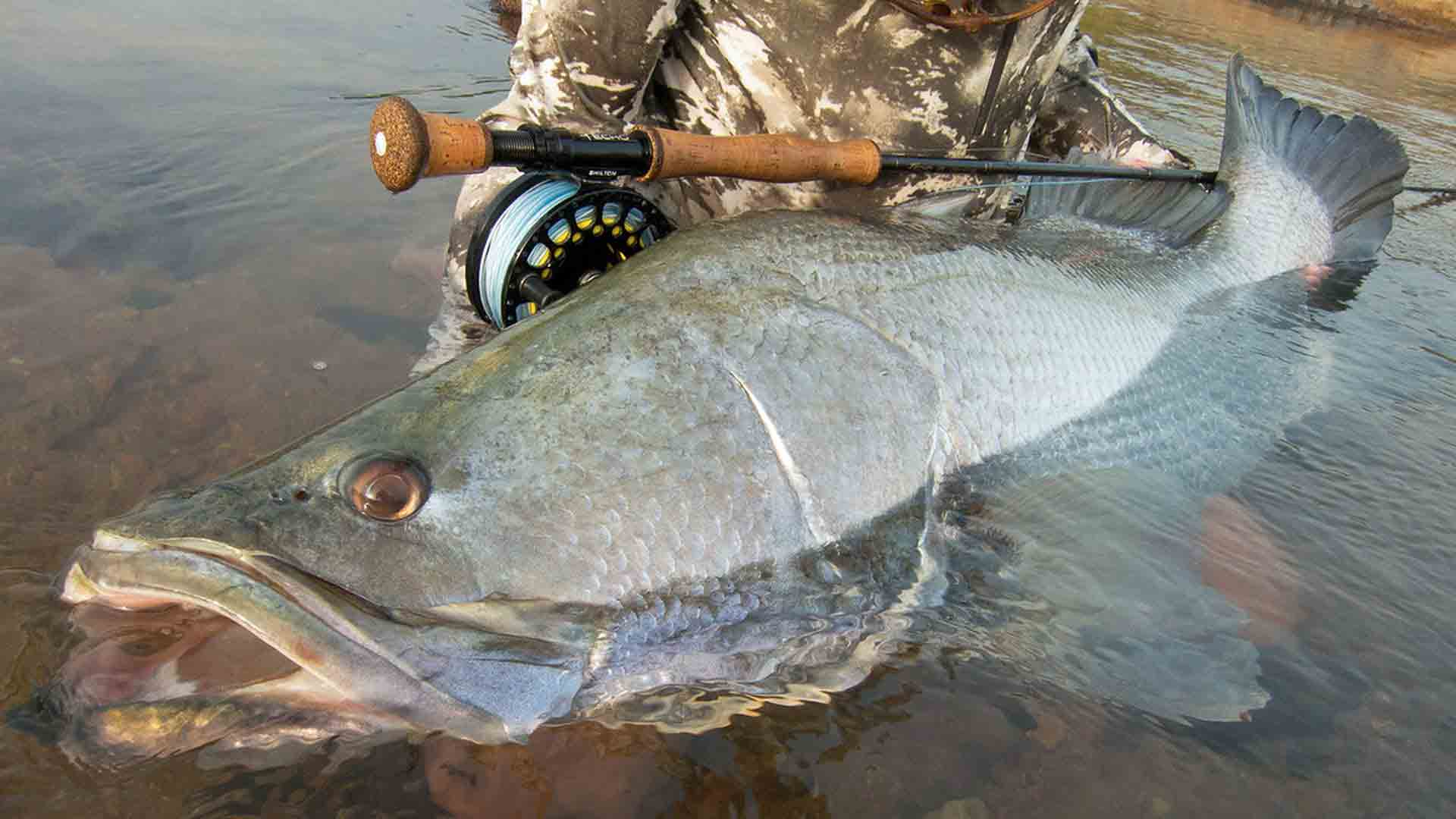 www.fishingwithlarry.com