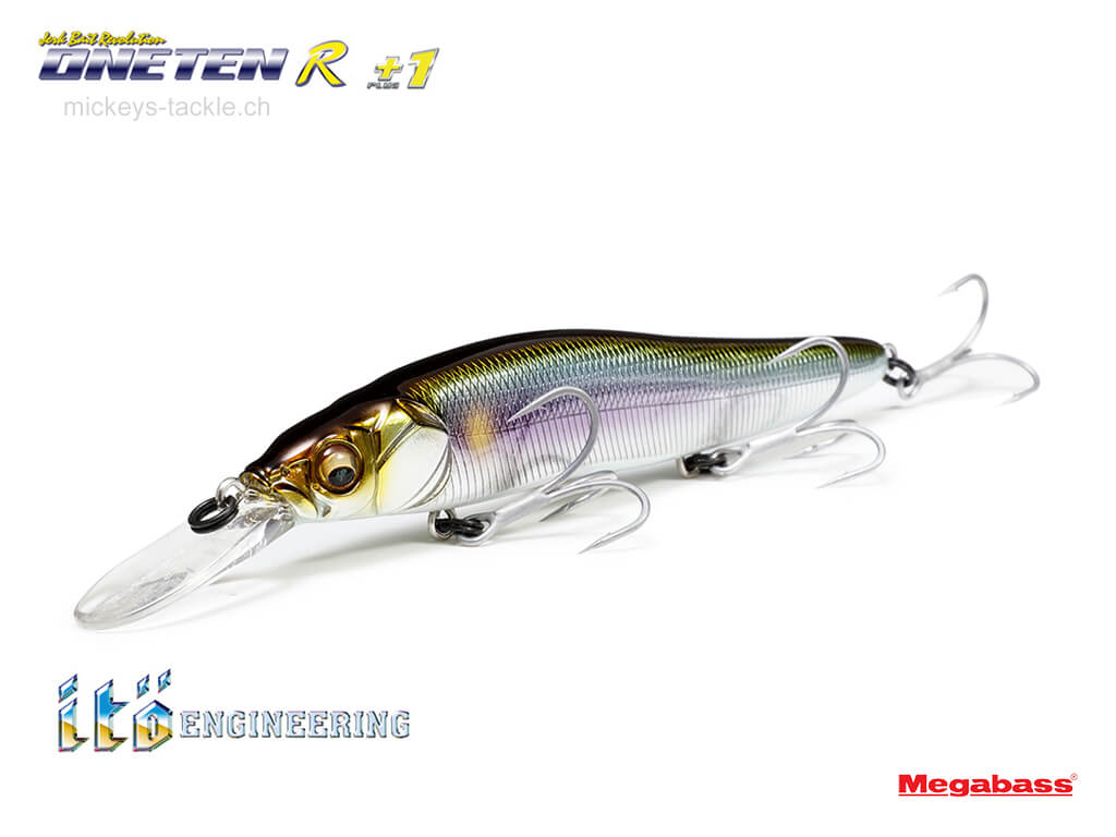 www.mickeys-tackle.ch