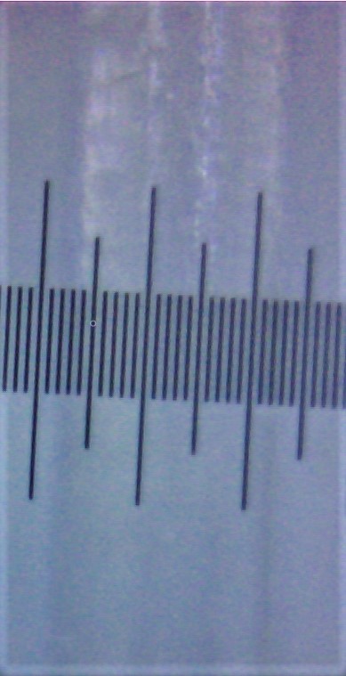37209269tr.jpg