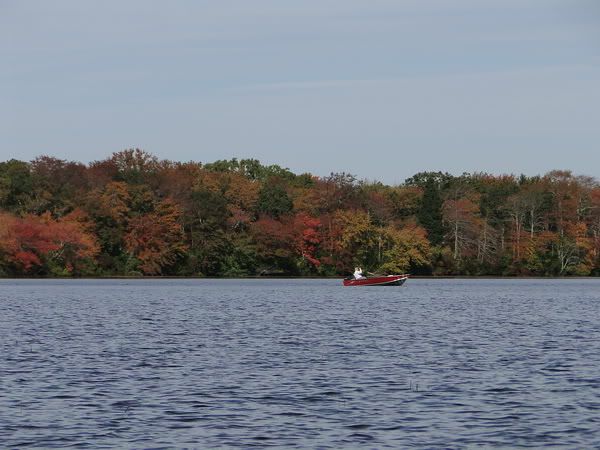 DSC00841.jpg