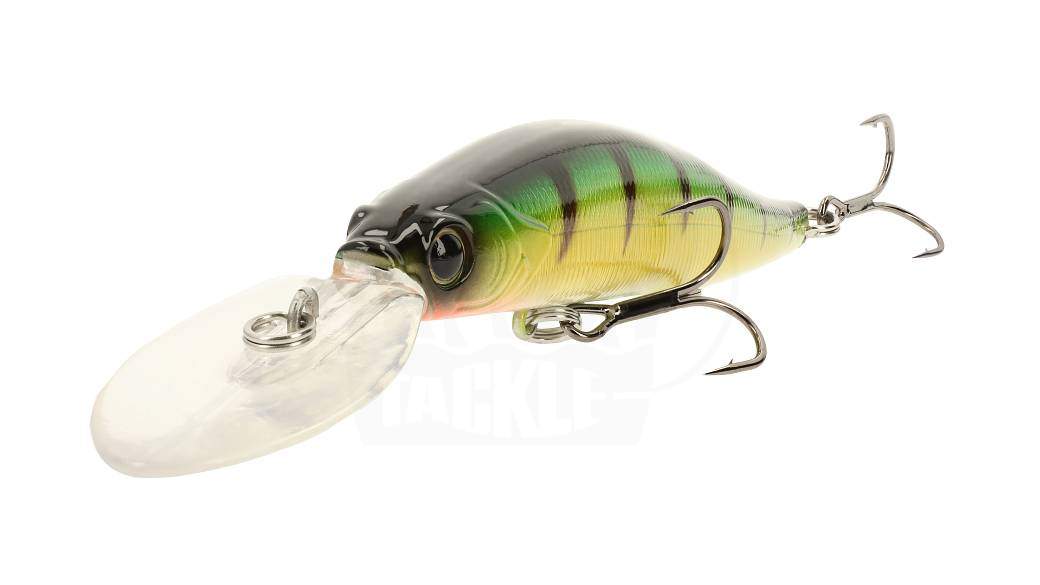 www.nippon-tackle.com