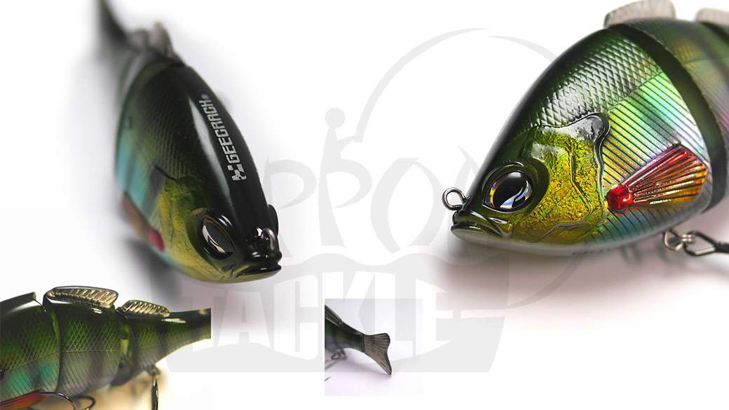Geecrack-Gilling-125SP_b2.jpg