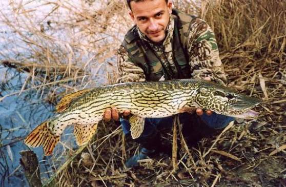 raubfisch.de
