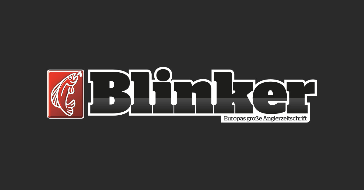 blog.angeln.de