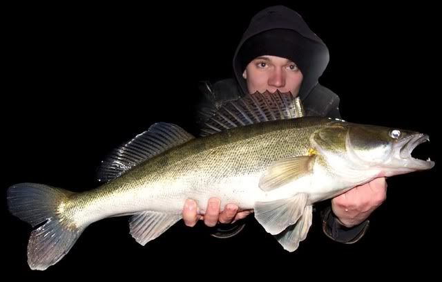 80cm-1.jpg