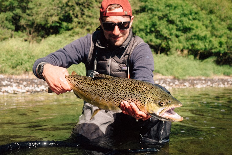 dicht-am-fisch.de
