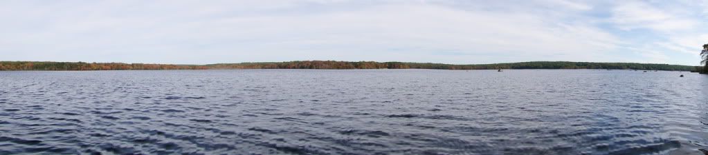 DSC00831.jpg