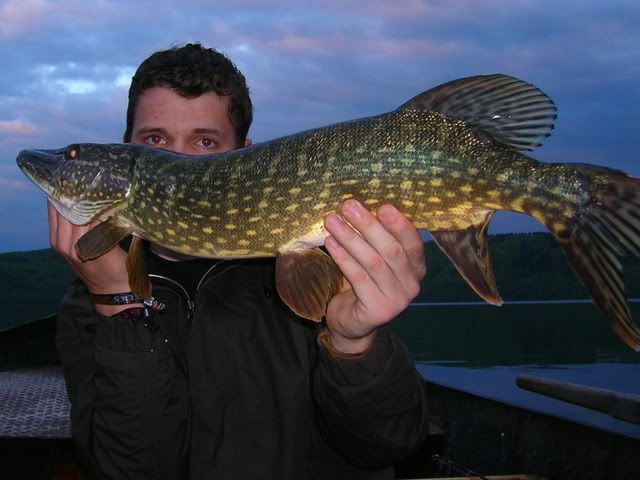 RSCN5115.jpg