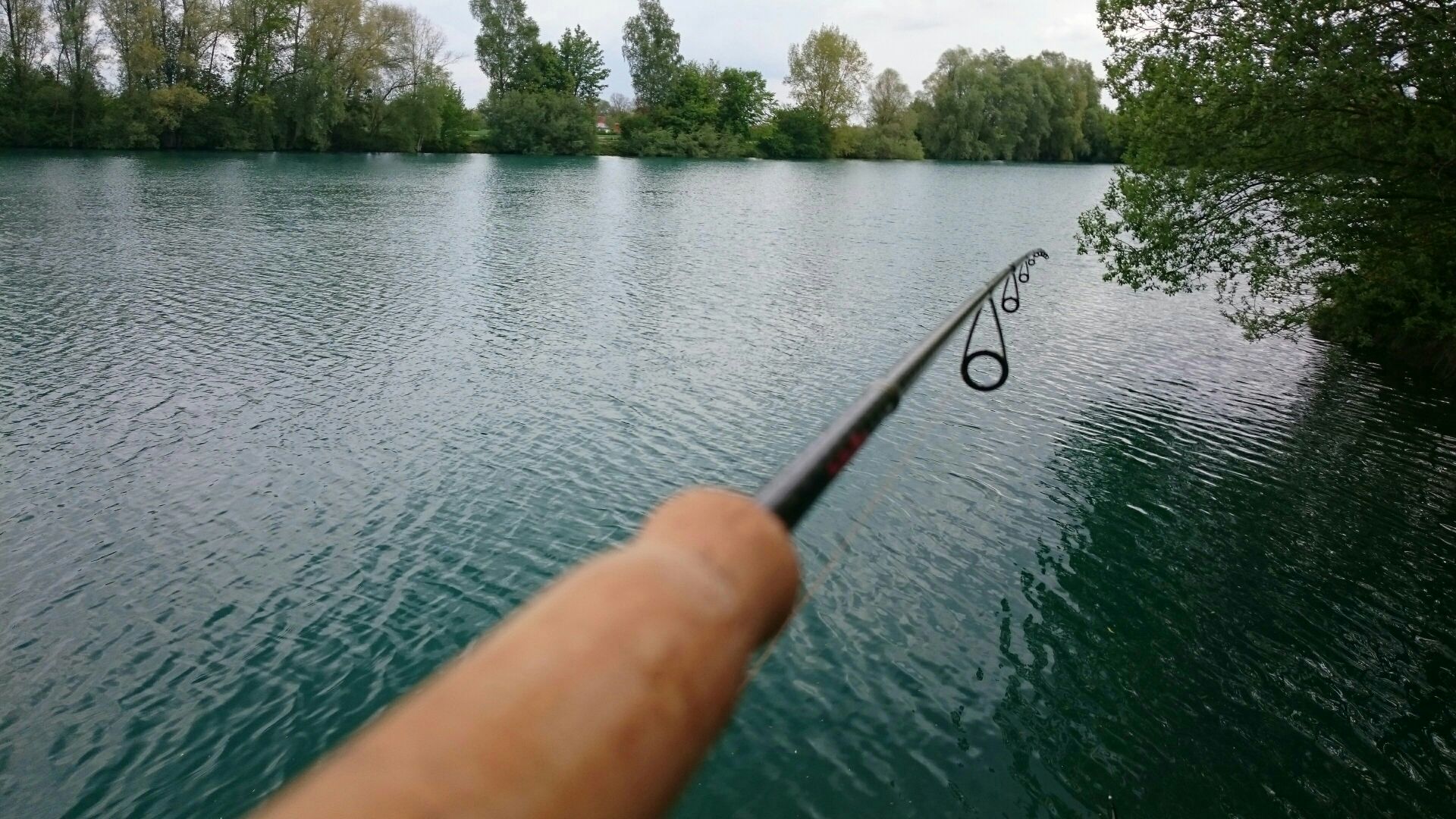 e41f5505e8800da50e1349cf92b85ba8.jpg