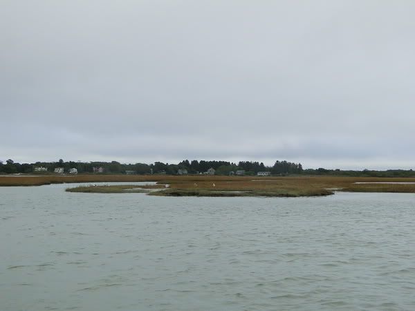 DSC00703.jpg