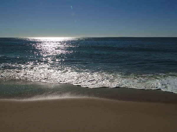 DSC00806.jpg