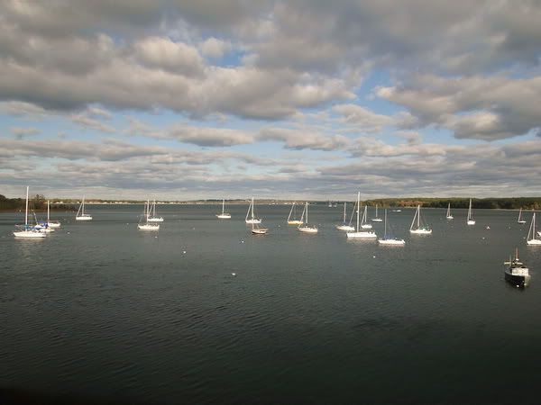 DSC01013.jpg
