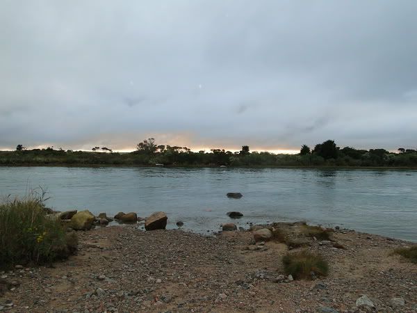 DSC00705.jpg