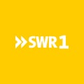 www.swr.de