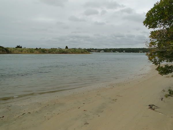 DSC00678.jpg