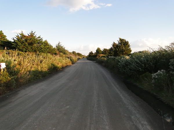 DSC00787.jpg