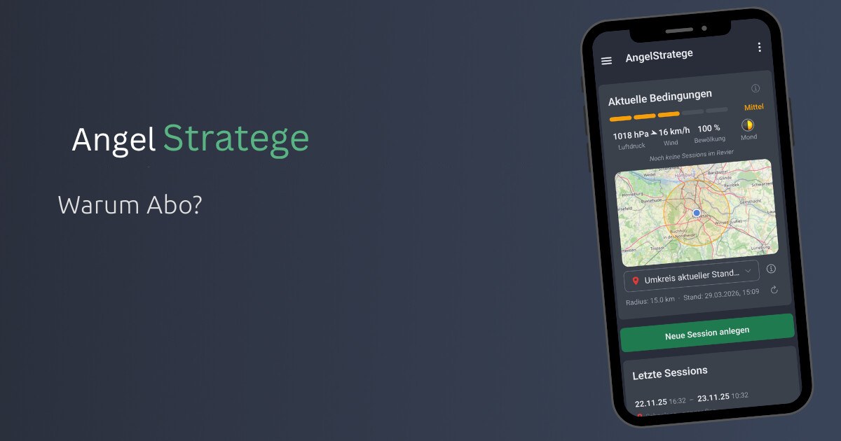 angelstratege.com