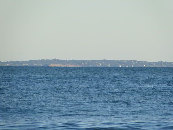 DSC00661.jpg
