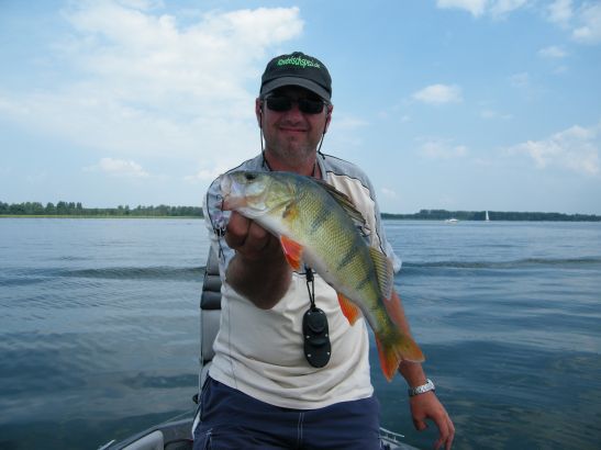 barsch38_1.8.14.JPG
