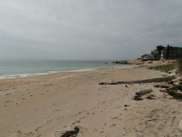 DSC00881.jpg