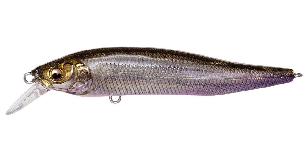 www.japan-dream-tackle.de