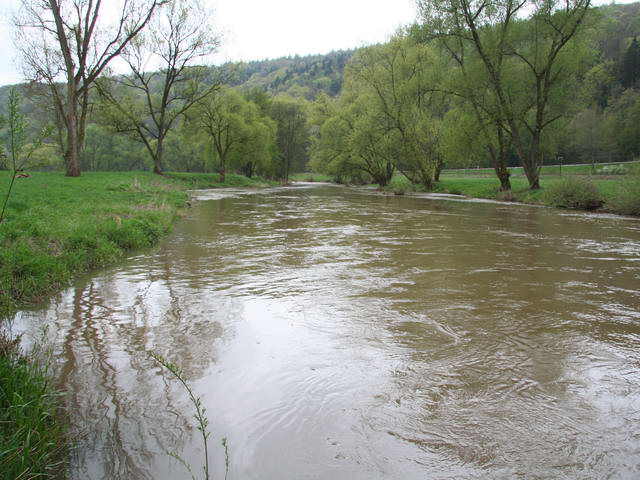 y_sa2006_02.jpg