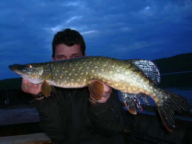 RSCN5114.jpg