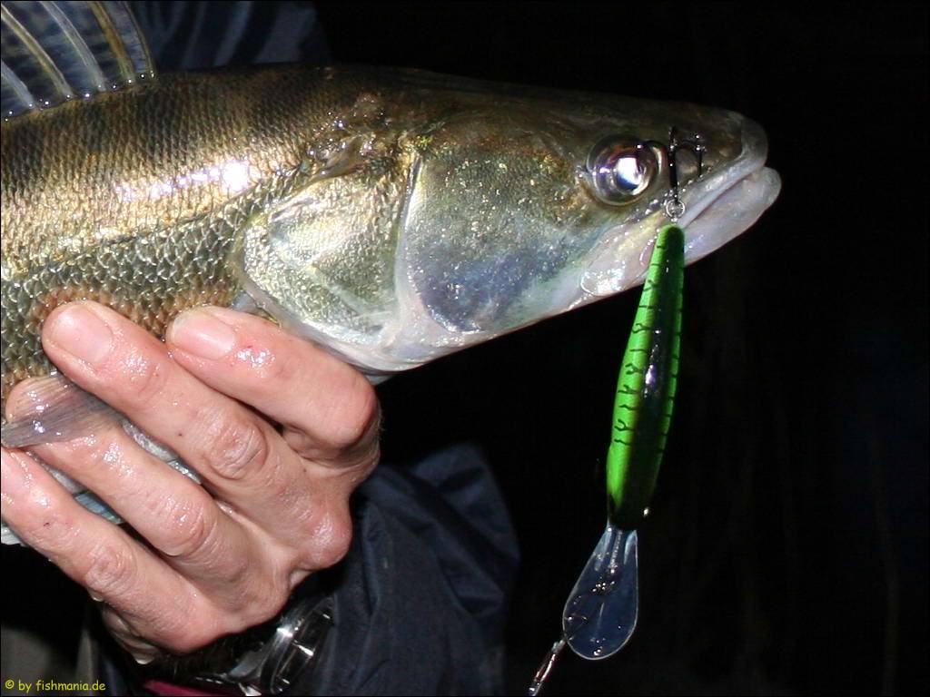 05zander57b.jpg