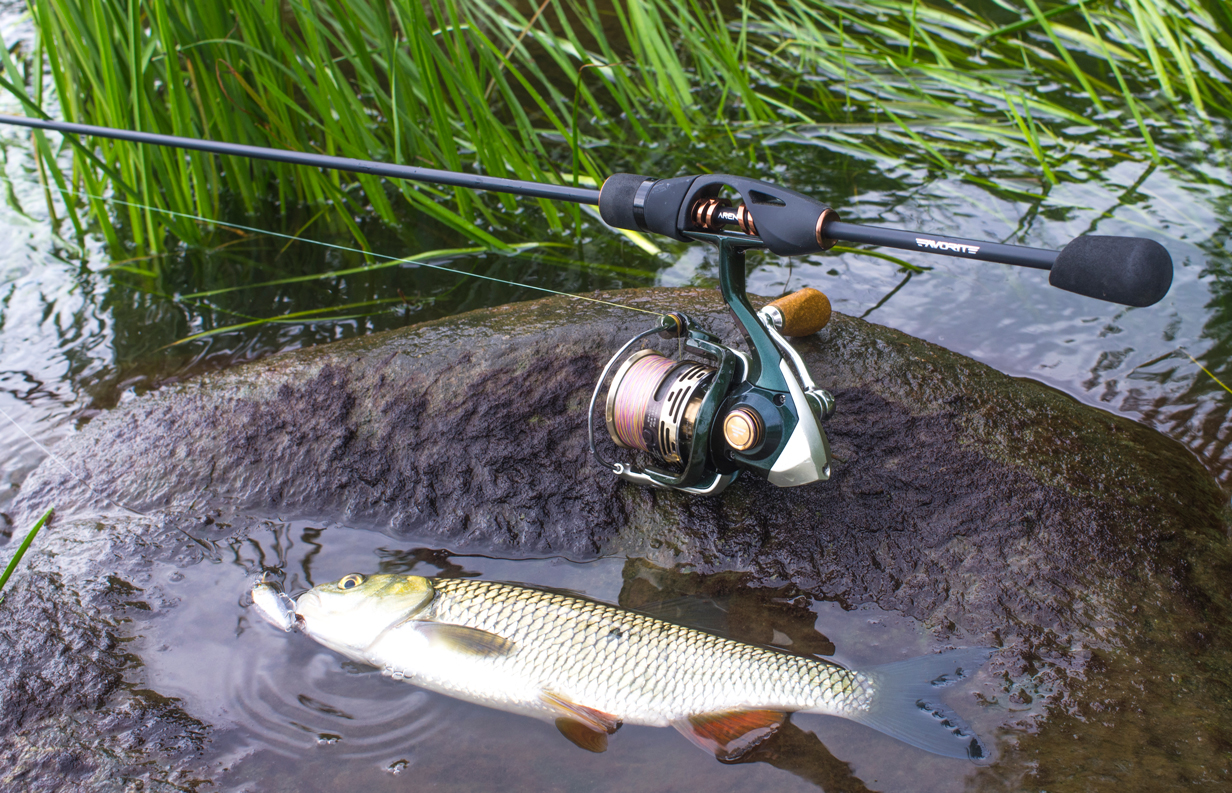 en.favorite-fishing.com