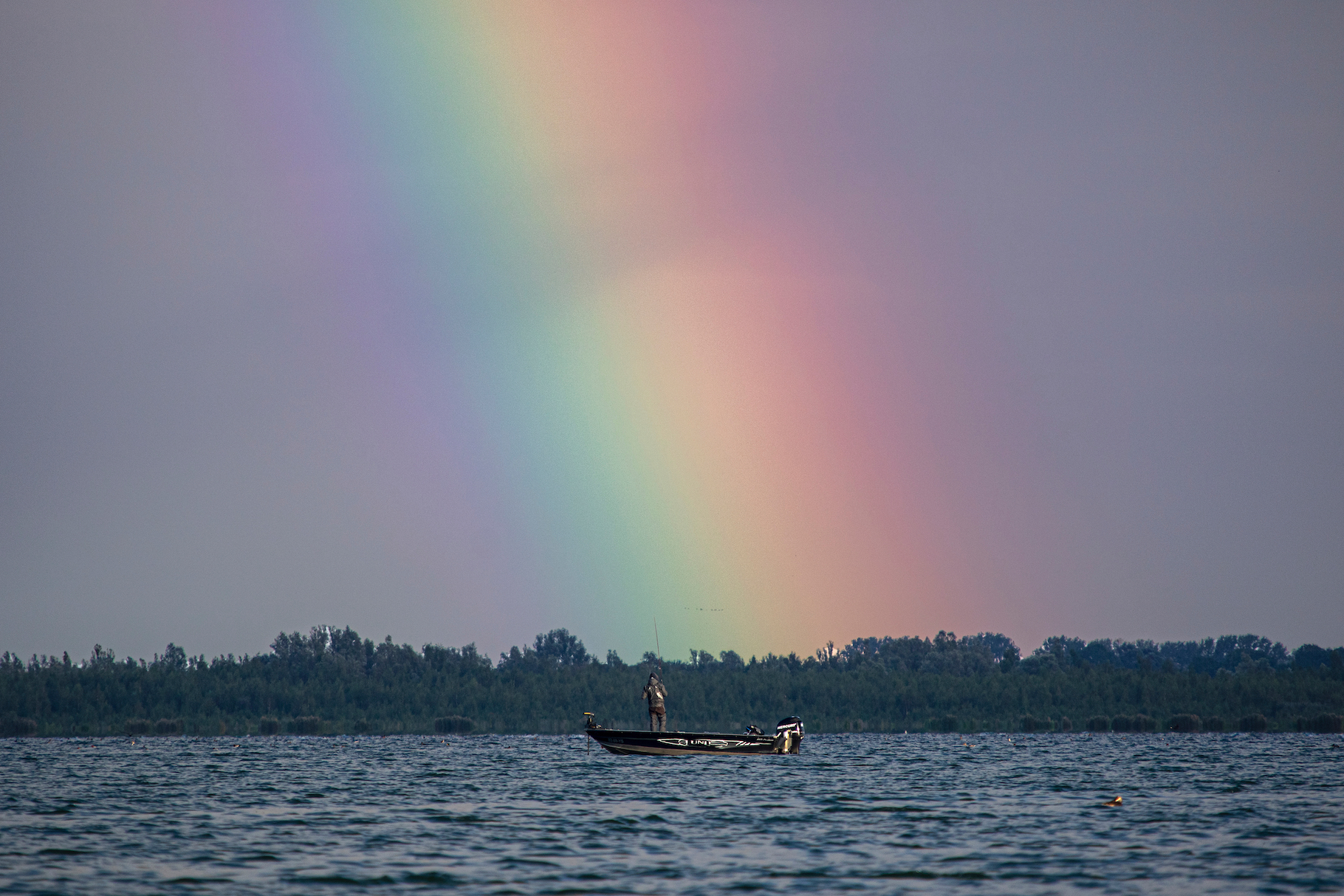 www.myfishguide.ch