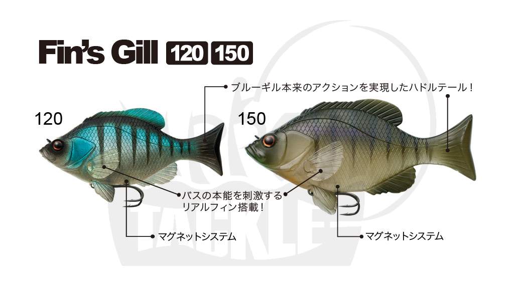 Fish-Arrow-Fins-Gill-150_b3.jpg