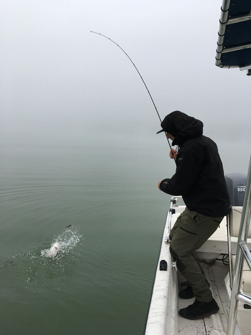 Expride - die perfekte Rute für die Baitcaster beim Barschangeln.