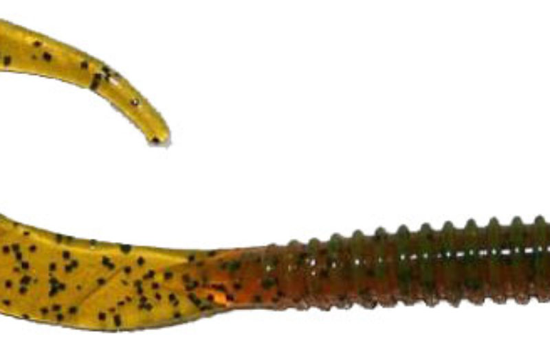 reins Curly-Tail-Würmer – von Barsch bis Dorsch für jeden was dabei.