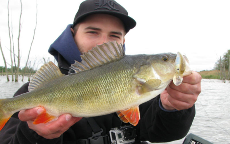Wobbeln: G Loomis Crankbait-Rute aus Glasfaser