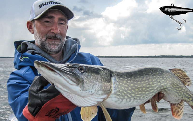 Ocean-Spin – der schnelle unter den Jig-Spinnern