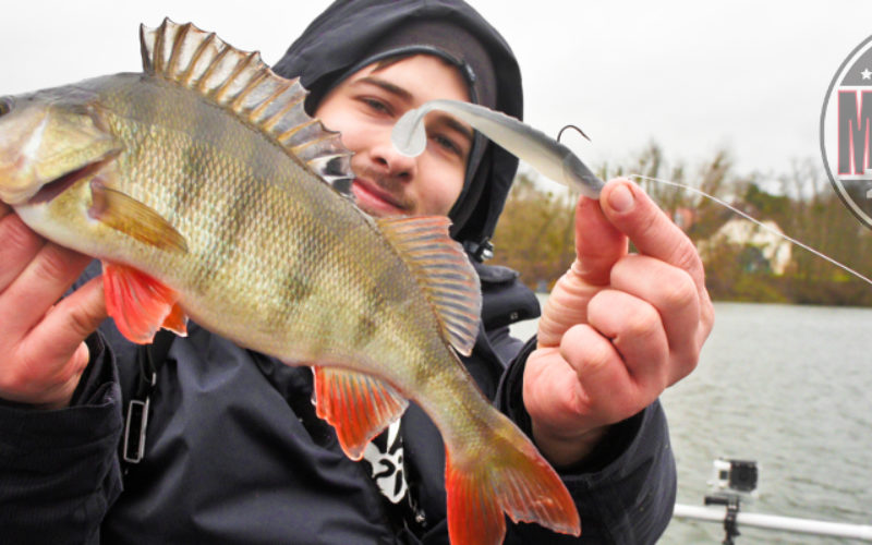 Barsch-Rakete gelandet: Der Missile Baits Shockwave