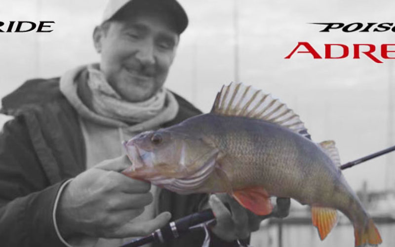 The Making-of – Ups’n’Downs beim Shimano JDM-Clip-Dreh