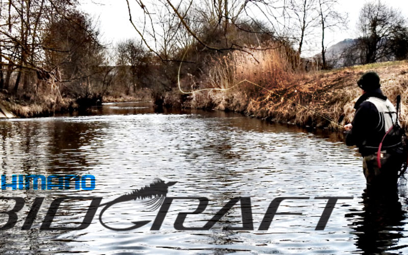 SHIMANO BioCraft EVA 7‘6“ #4 ODER: Fetzi’s Schnuckiputz