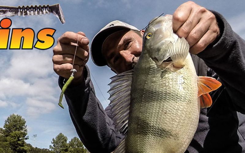 reins Rockvibe Shad – multitalentierte Action-Tail-Wurst