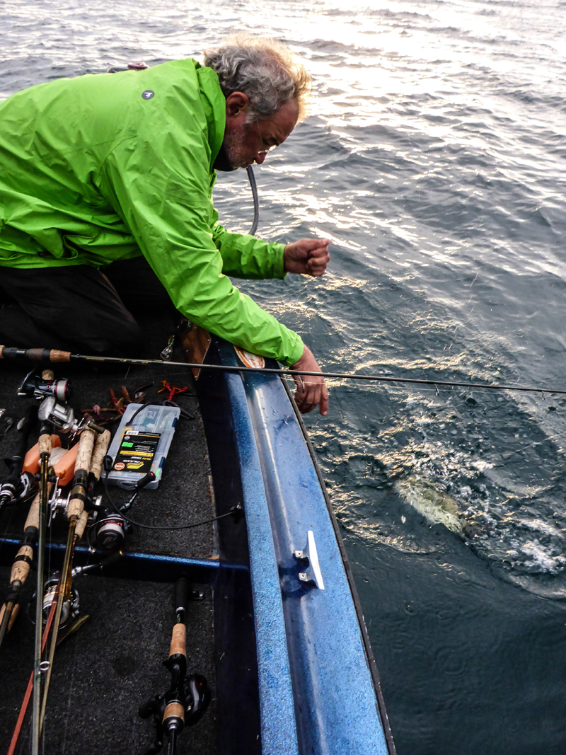 Un Bass sensa Landing Net. Porca meseria!