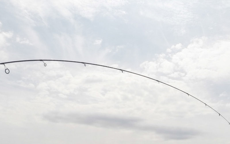 Spitzen Sache: Feiner fischen mit der Solid Tip