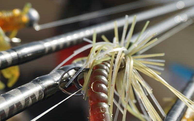 Barschruten & -rollen: Alles über Barsch-Tackle