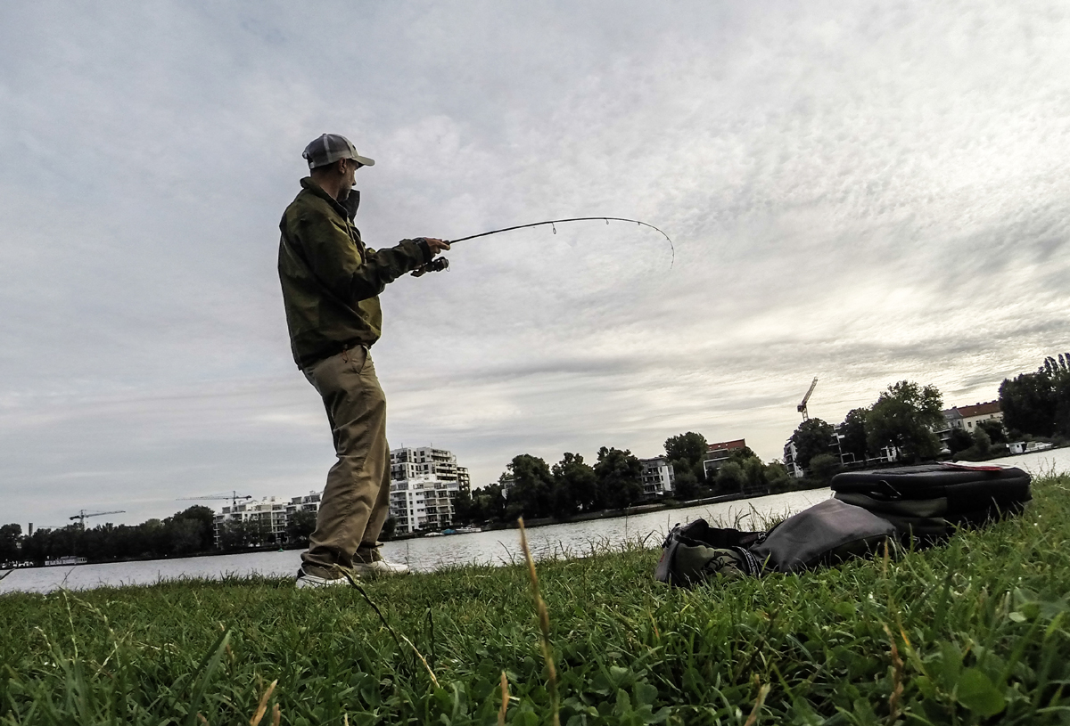 Johannes drillt Barsch aus der Spree an der Barschrute