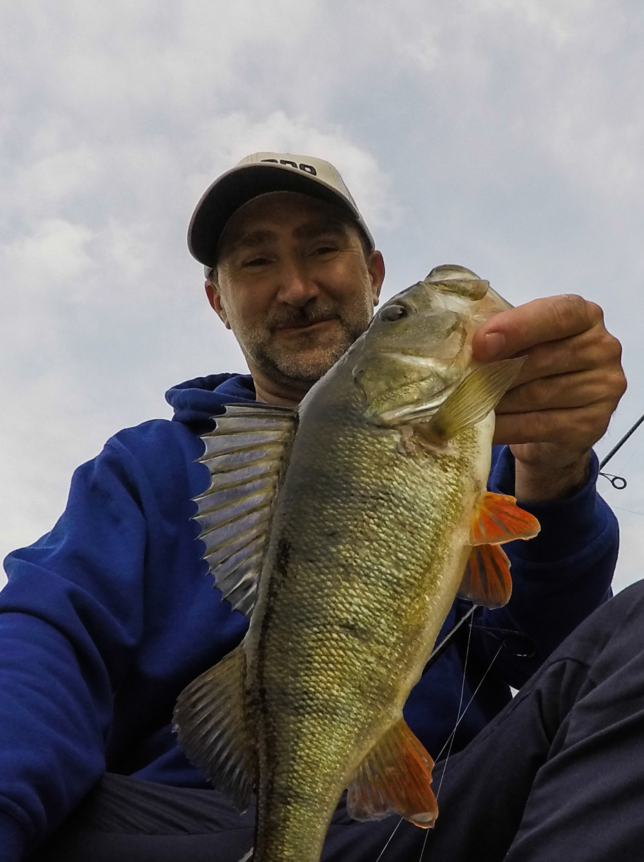 Schöner Barsch, gefangen mit der Shimano Zodias