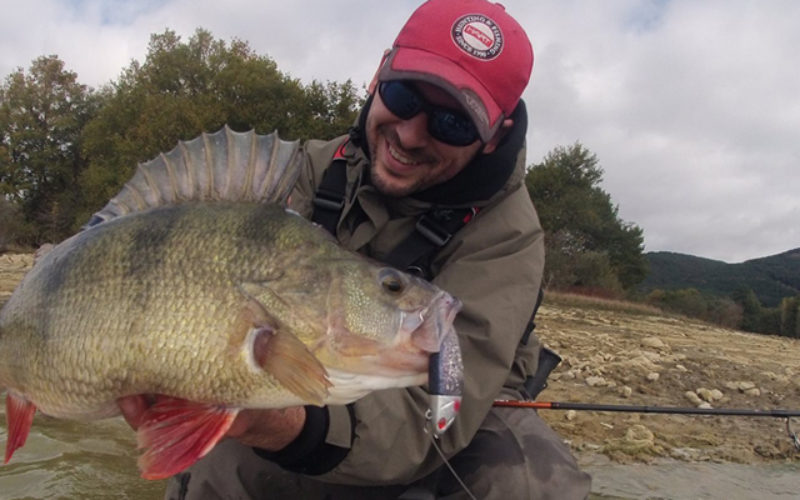 Interview mit Mr. Perchzilla aka JosebaAngler
